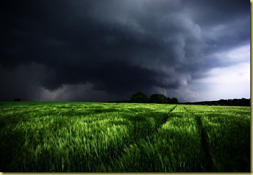 stormy field