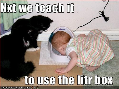 [funny-pictures-cats-teach-baby-to-drink-water[3].jpg]