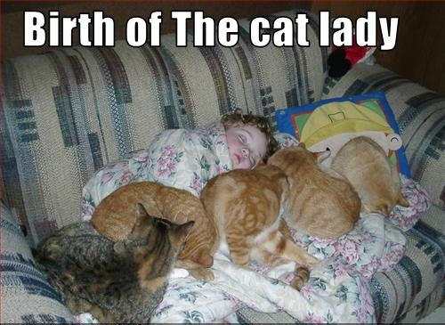[funny-pictures-a-cat-lady-is-born[4].jpg]