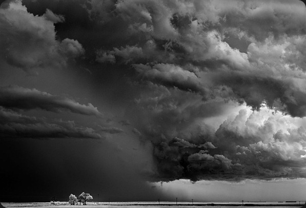 Mitch-Dobrowner_Trees-Cloudspicture15