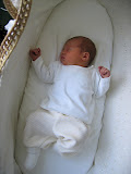 photo 105.jpg