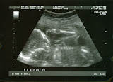 scan1.jpg