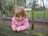 train_day_46.jpg