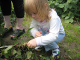 pic 084.jpg