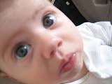 photo 158.jpg