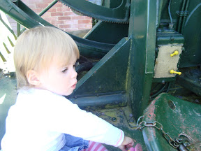 photo 137.jpg photo 137.jpg