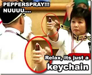 spray or keychain