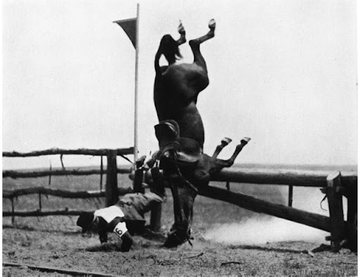 Equestrian sport