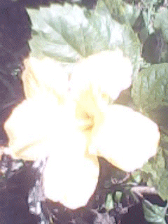 [altarDM[3].gif]