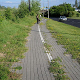 zieleń 3.jpg