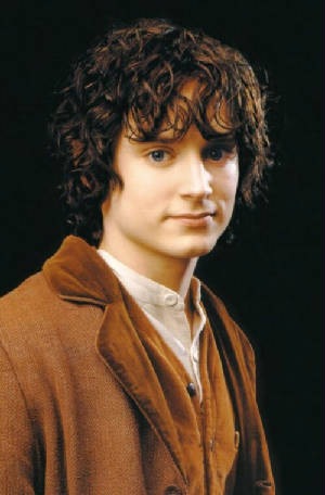 [frodo_sweet.jpg.w300h456[2].jpg]