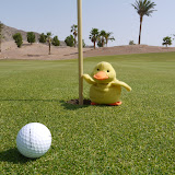Considerate Duckee offers to get the flag for me