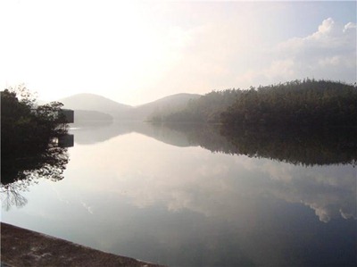 [Picture4 (Small)[3].jpg]