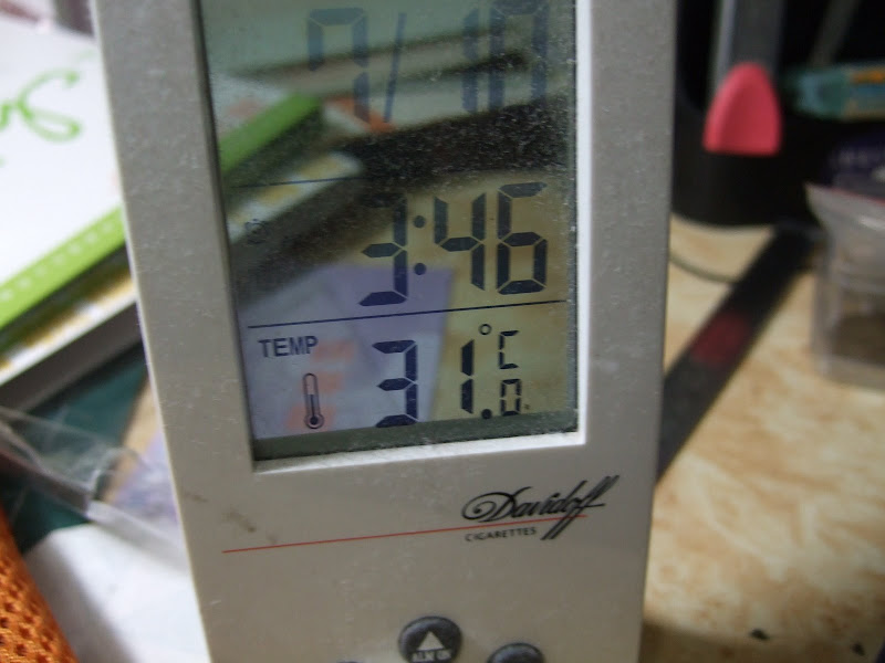 DSCF1643.JPG