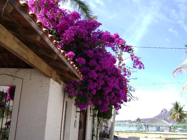 [DSC006065.jpg]