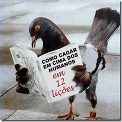 pombo_portugues