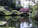 Sunken Garden Pond