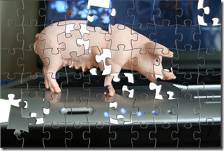 puzzle pig
