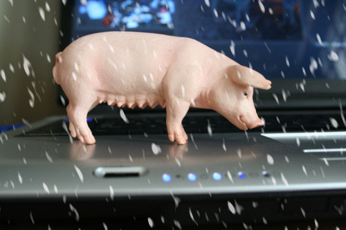 [Pig Snow Storm[1].png]