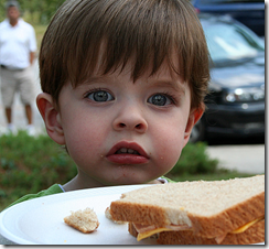 Picnic1