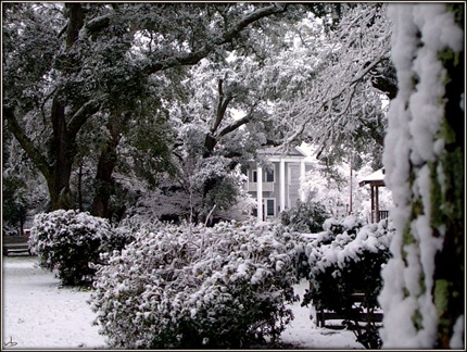 [southport snow_16[4].jpg]