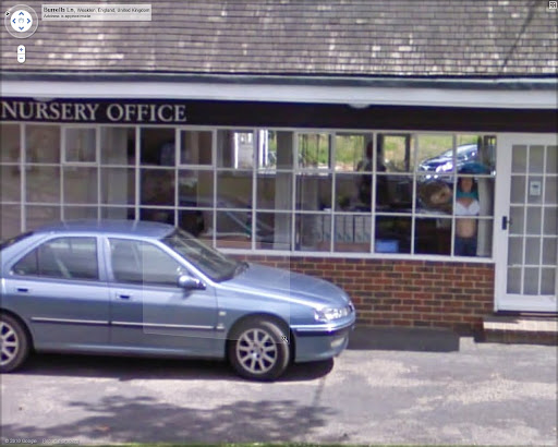 Uckfield bra exposed at Streetview