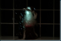 IMAG0052
