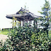 jeju6.jpg