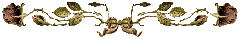 banner3qi2 banner3qi2