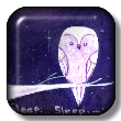 Sleep Sleep
