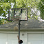 Carey on the court.
