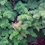 View into the cliffside forest from the bridge almost exactly a year previously...