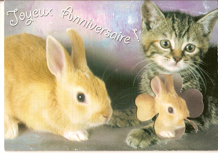 http://lh6.ggpht.com/_gyk3hD2sqac/SdX6Il1qEiI/AAAAAAAAEUw/hJuq3S6DxRg/s720/la%20cerise%20sur%20le%20crado.jpg