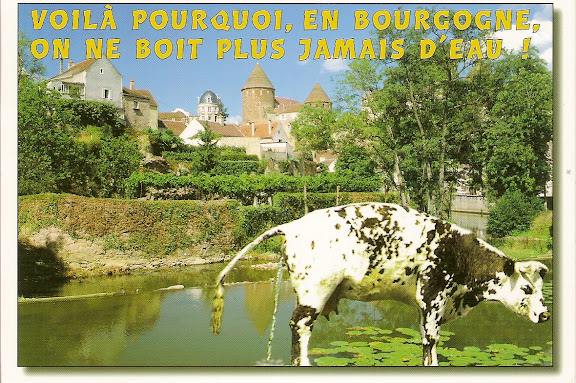http://lh6.ggpht.com/_gyk3hD2sqac/Sh-vQM52zsI/AAAAAAAAEgU/65B_2LSMi8Q/s576/oh%20la%20vache.jpg