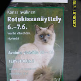 http://lh6.ggpht.com/_gywgeolqHDc/Si33Nrvv5QE/AAAAAAAABp8/E7XNWOWjGyE/s160-c/HyvinkaaKissa67Kesakuuta.jpg