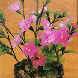 Flores de nylon