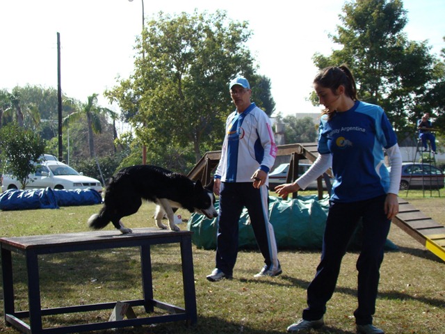 [DSC02727[7].jpg]