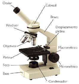 [imag-microscopio-optico[8].png]