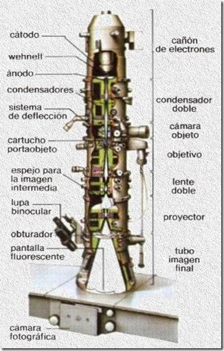 microscopio electronico
