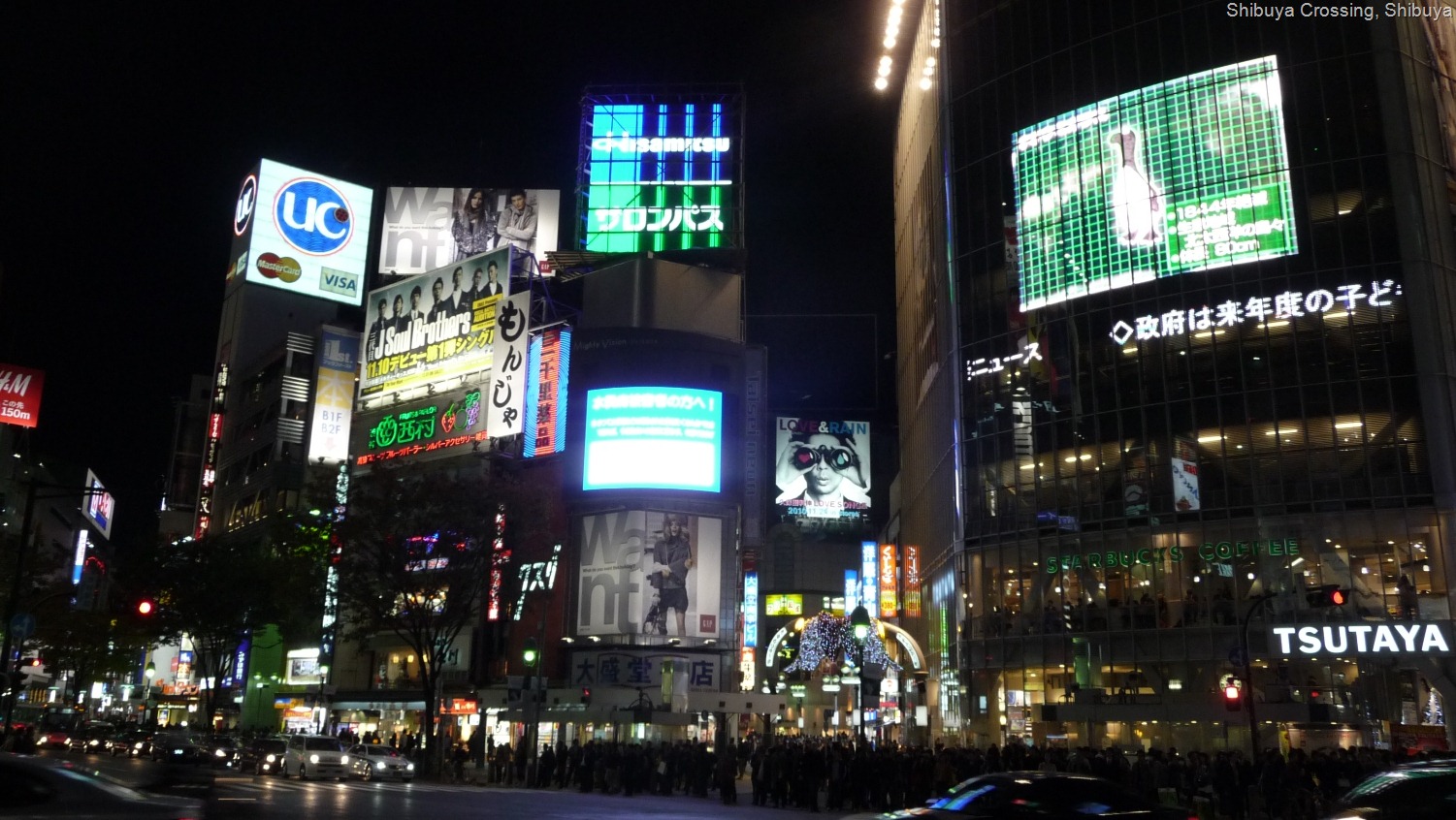 [P113028419.jpg]