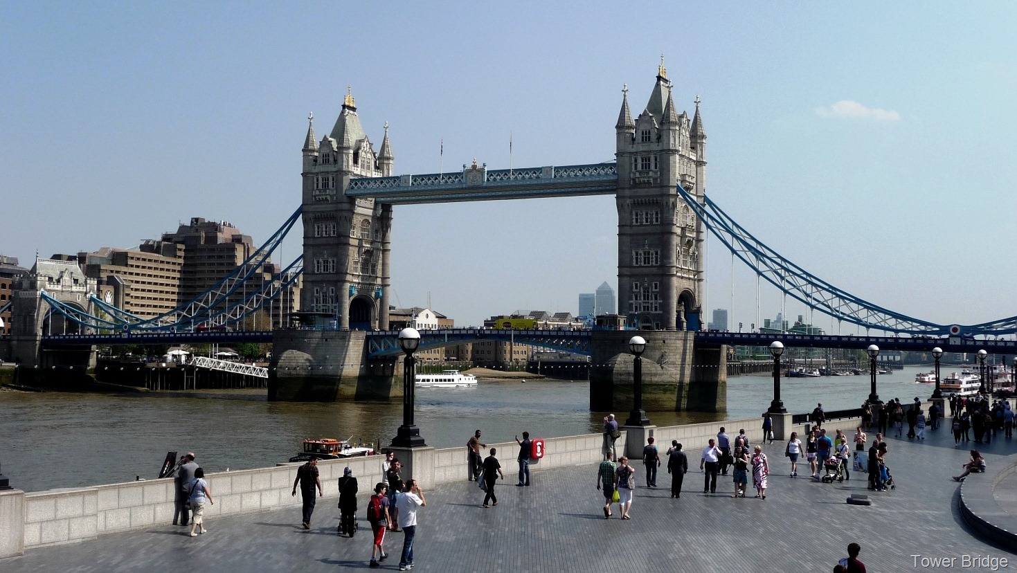 [P1140066[1].jpg]