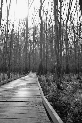 Boardwalk