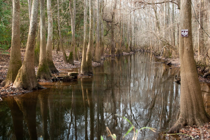 Canoe Trail