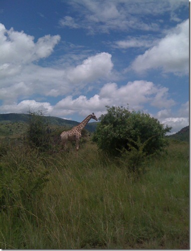 JEB - South Africa