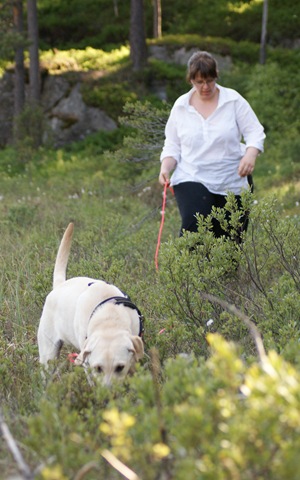 [DSC06950[6].jpg]