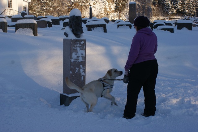 [DSC00537[2].jpg]