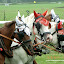 Wagenrennen in Halle 2010