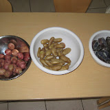 Picture 039.jpg