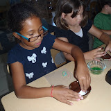 Picture 020.jpg