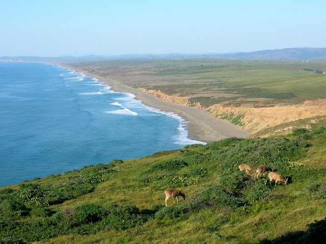 The Great Beach